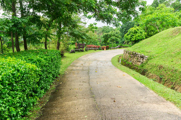 Fototapeta na wymiar Pathway among greenery lawn with ornamental trees in outdoor garden