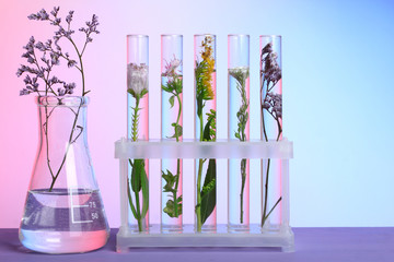 Flowers and plants in test tubes on wooden background. The concept of biological research