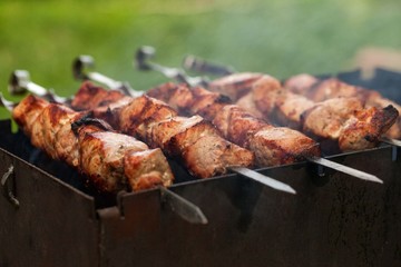 Bar-B-Q or BBQ. Delicious barbecued or grilled meat kebabs