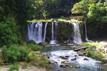 Fototapeta na wymiar 桐原の滝
