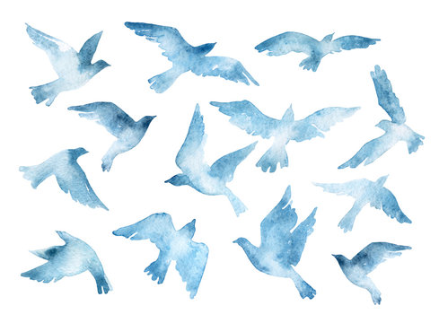 Flying bird silhouettes with watercolor texture isolated on white background