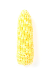 Fresh corn 