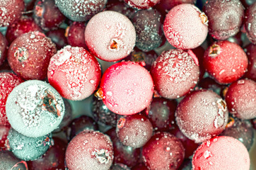 Close up of frozen cranberries