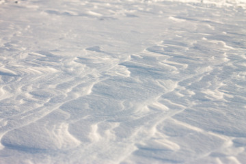 background snow waves at sunset by the wind