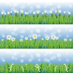 Set of grass with flower backgrounds. Tulips, daisies and lilies.