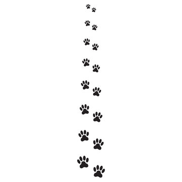 Animals pawprints or footprints isolated on white background. Animal paw icon or sign. Vector illustration.