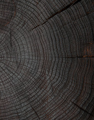 felling trees with cracks