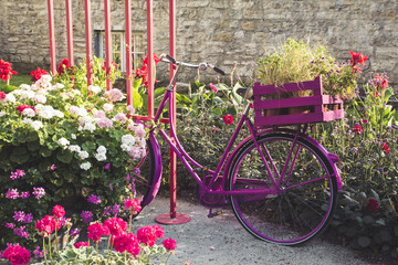 Fototapeta na wymiar Pink bike with flowers