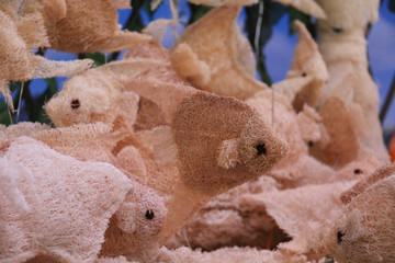fish luffa.