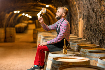 Handsome sommelier in apron and checkered shirt looking at wine glass sitting on the barrel in the old cellar. - obrazy, fototapety, plakaty