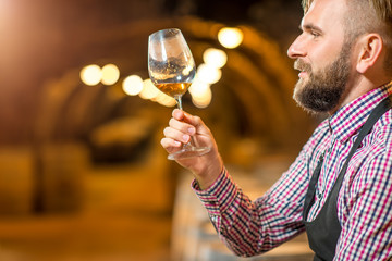 Handsome bearded blond sommelier looking at wine glass in the old cellar.