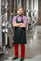 Portrait of a handsome wine maker in working apron at the manufacture with metal tanks for wine fermentation. Wine production at the modern factory