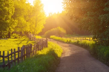 Foto op Plexiglas Landelijk Zweden zomer zonnig landschap met weg, groene bomen en houten hek. Avontuurlijk Scandinavisch hipsterconcept © Roxana