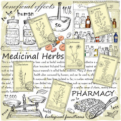 Hand drawn herbs postcards