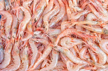 Fresh shrimps at the market closeup