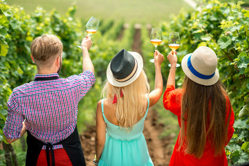 Young people looking at the wine glasses standing back on the vineyard during the wine degustation.