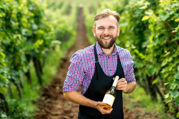 Portrait of handsome wine maker in apron with bottle of white wine standing on the vineyard