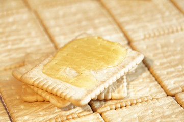 Sponge cake with honey. House crackers. Still crackers 