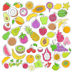 Vector set of hand drawn colored fruit and berries icons.