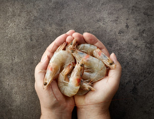 fresh raw prawns in human hands