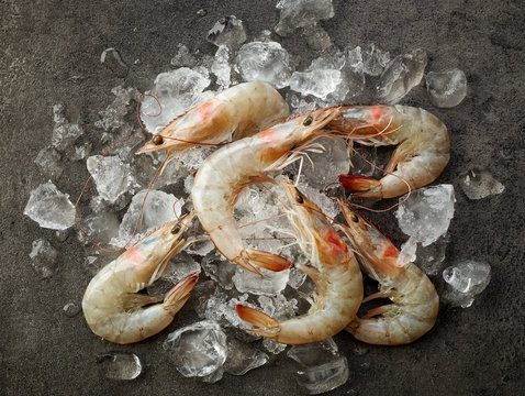 fresh raw prawns and ice