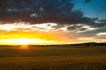 Naklejka na ściany i meble Beautiful sunset over fields