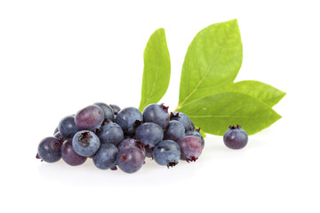 Blueberries and leaves isolated on white