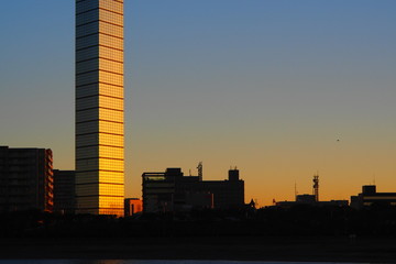 Fototapeta na wymiar The sunrise on New Year’s day at Chiba Port Tower