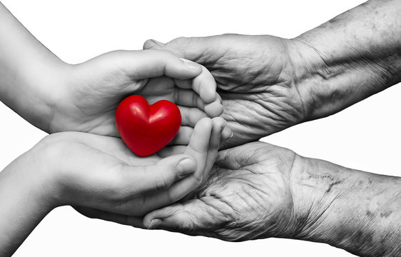 little girl and elderly woman keeping red heart in their palms t