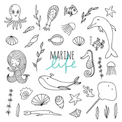 Vector set of marine life.