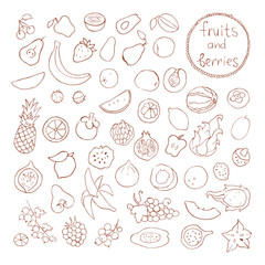 Doodle set of different cut fruits and berries. Healthy food. 