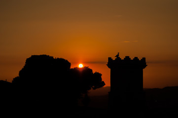 Obraz premium Силуэт птицы на башне на фоне заходящего солнца