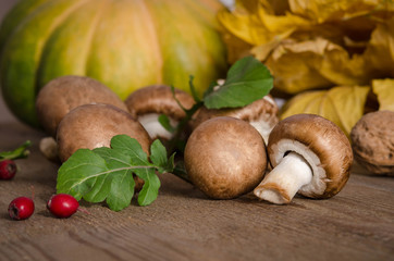 Fresh mushrooms with leaves of arugula on wooden background
