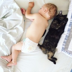 adorable baby boy sleeping with cat