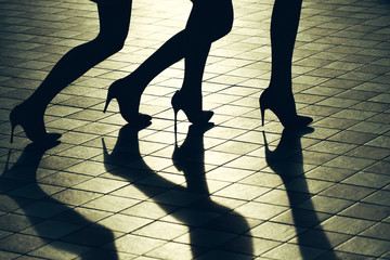 Female legs in stylish shoes