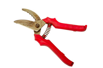Red old garden secateurs isolated on a white background