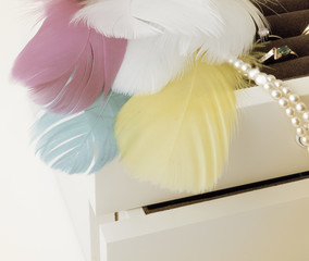 jewelry box with multicolored feathers