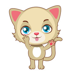 Cute yellow cat making faces