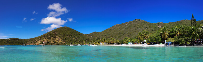 Fototapeta na wymiar Tropical shoreline in British Virgin Island (BVI), Caribbean