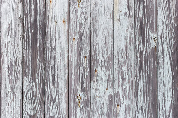Naklejka premium The white wood texture with natural patterns background