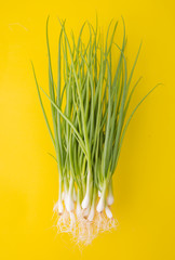 Green onion isolated on the color background