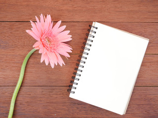 Pink Gerbera flower and blank notebook 1