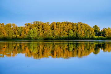 Forest and its reflection in water of river