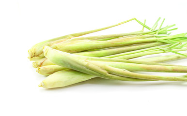 Fresh Lemongrass isolated on white background
