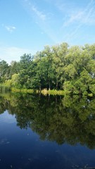 Bäume spiegeln sich im Wasser - Spätsommer