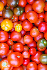 Pile of homegrown bio organic tomatoes.