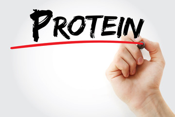 Hand writing Protein with marker, concept background