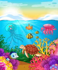 Fototapeta na wymiar Sea animals swimming under the ocean