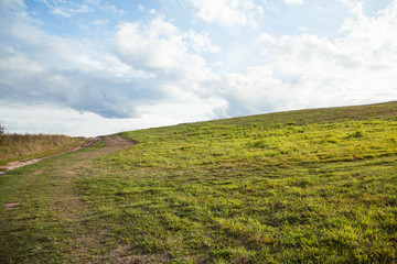 View of a summer meadow on the hill