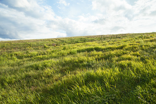 View of a summer meadow on the hill
